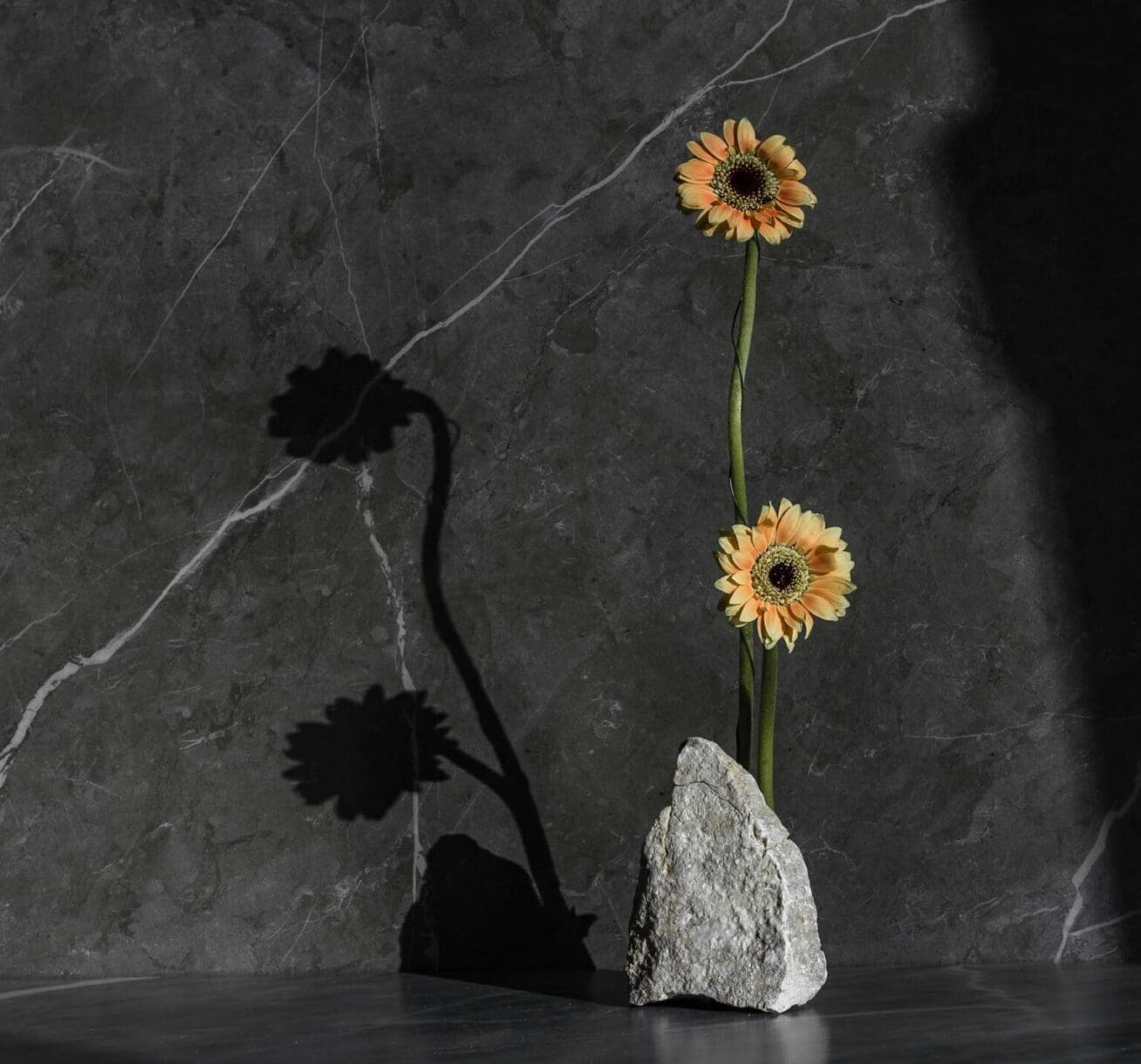 Pannonia Stone - Image 2